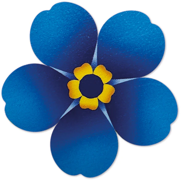 Alzheimer's and dementia care service
